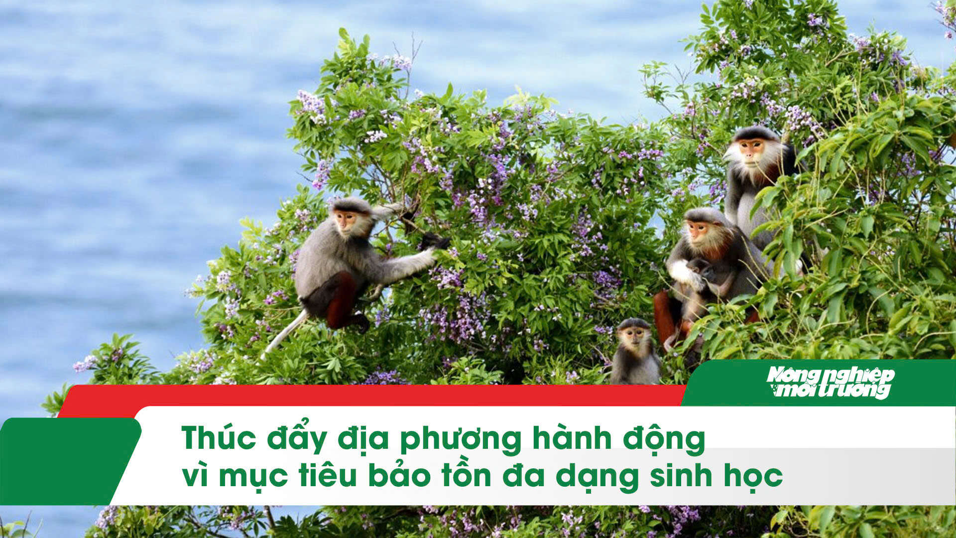 J882ea tỉ lể kèo thắng lớn địa phương hành động vì mục tiêu bảo tồn đa dạng sinh học